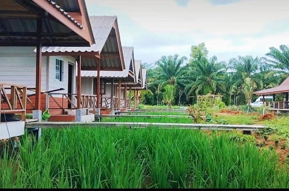 ปารมีฟาร์มสเตย์ Takuapa Eksteriør billede